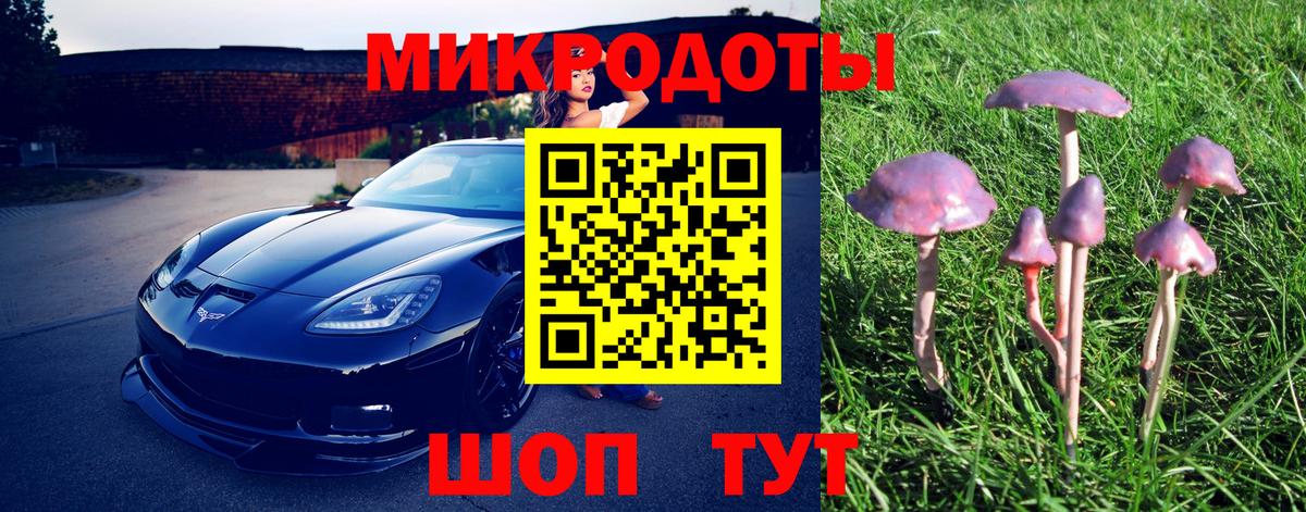Галлюциногенные грибы Magic Shrooms Липецк